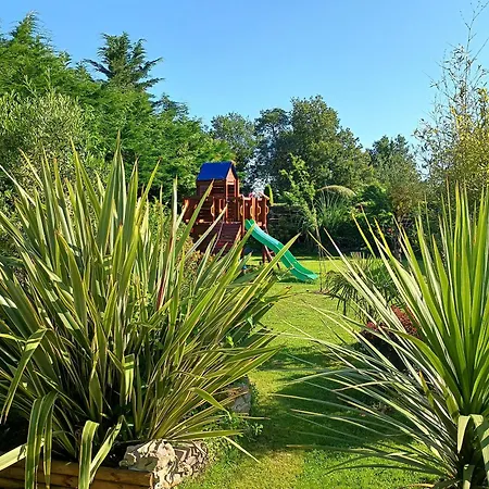 Les Rosiers Au Domaine Des Sauvineries *