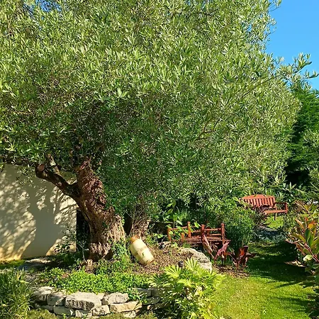 بيت للعطل Les Rosiers Au Domaine Des Sauvineries Saint-Germain-de-Princay