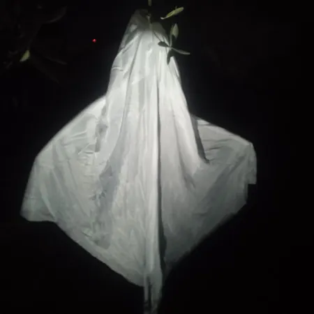 Feriehus Les Rosiers Au Domaine Des Sauvineries