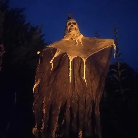 Les Rosiers Au Domaine Des Sauvineries Saint-Germain-de-Princay