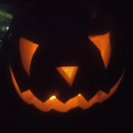 Les Rosiers Au Domaine Des Sauvineries