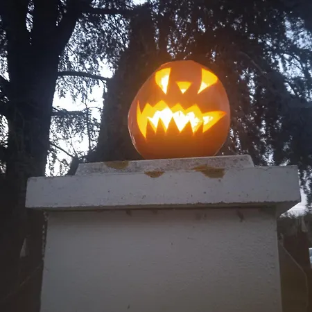 Les Rosiers Au Domaine Des Sauvineries بيت للعطل