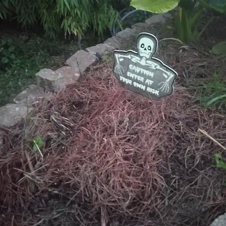 Les Rosiers Au Domaine Des Sauvineries Feriehus Saint-Germain-de-Princay