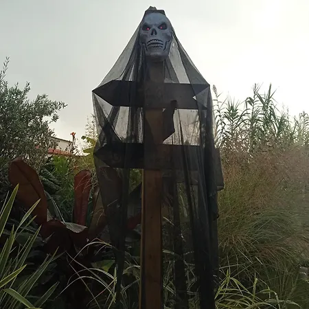 Les Rosiers Au Domaine Des Sauvineries *