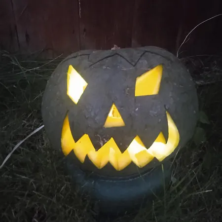 Les Rosiers Au Domaine Des Sauvineries Feriehus