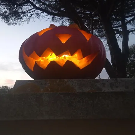 Feriehus Les Rosiers Au Domaine Des Sauvineries *