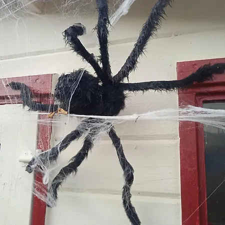 Feriehus Les Rosiers Au Domaine Des Sauvineries Saint-Germain-de-Princay