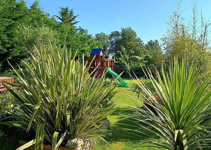 Les Rosiers Au Domaine Des Sauvineries *