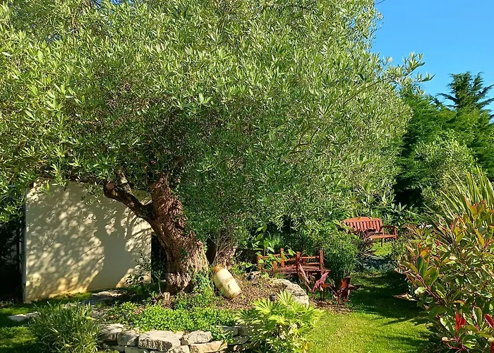 Tatil Evi Les Rosiers Au Domaine Des Sauvineries Saint-Germain-de-Princay