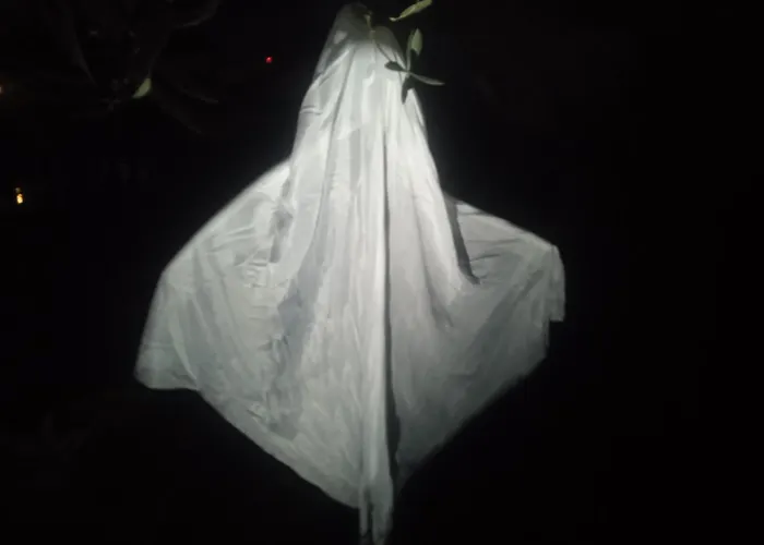 Tatil Evi Les Rosiers Au Domaine Des Sauvineries