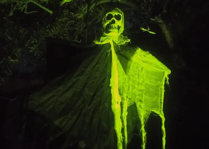 Tatil Evi Les Rosiers Au Domaine Des Sauvineries *