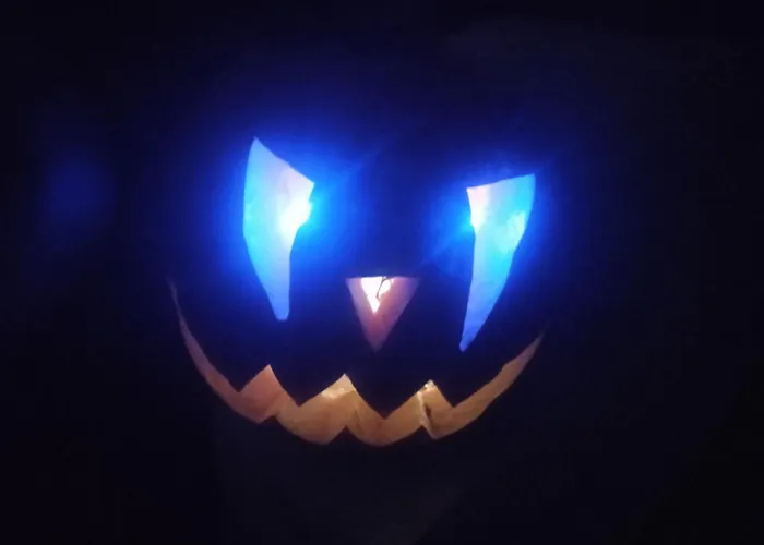 Les Rosiers Au Domaine Des Sauvineries بيت للعطل Saint-Germain-de-Princay