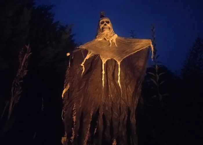 Les Rosiers Au Domaine Des Sauvineries Saint-Germain-de-Princay