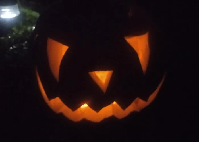 Les Rosiers Au Domaine Des Sauvineries