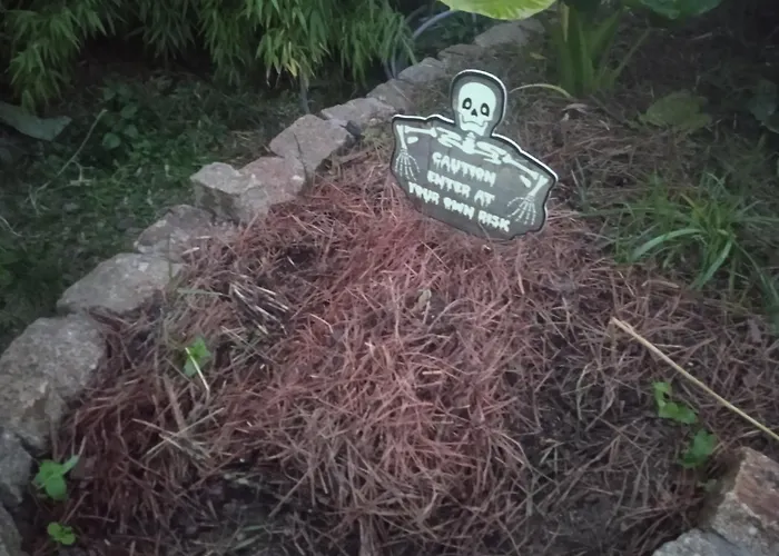 Les Rosiers Au Domaine Des Sauvineries بيت للعطل Saint-Germain-de-Princay