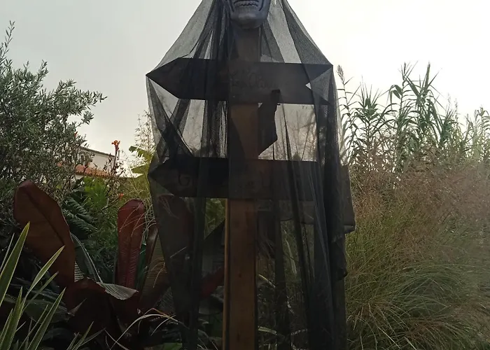 Les Rosiers Au Domaine Des Sauvineries *