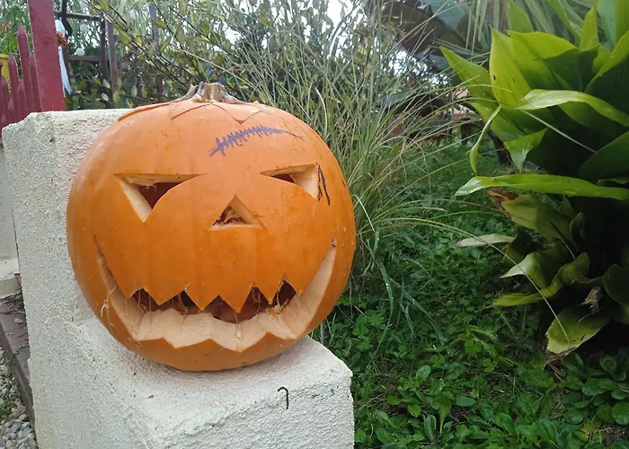 Les Rosiers Au Domaine Des Sauvineries