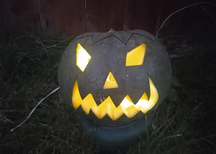 Les Rosiers Au Domaine Des Sauvineries بيت للعطل