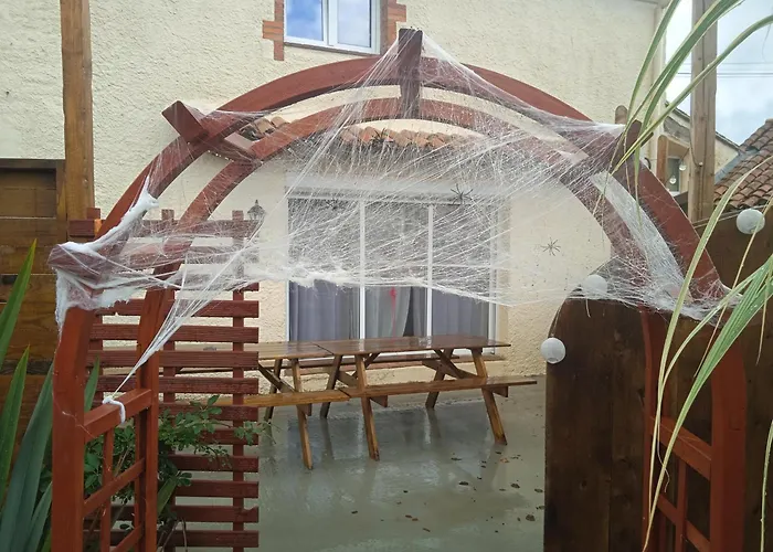 Les Rosiers Au Domaine Des Sauvineries *