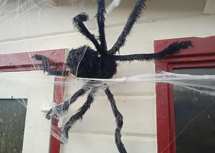 Tatil Evi Les Rosiers Au Domaine Des Sauvineries Saint-Germain-de-Princay